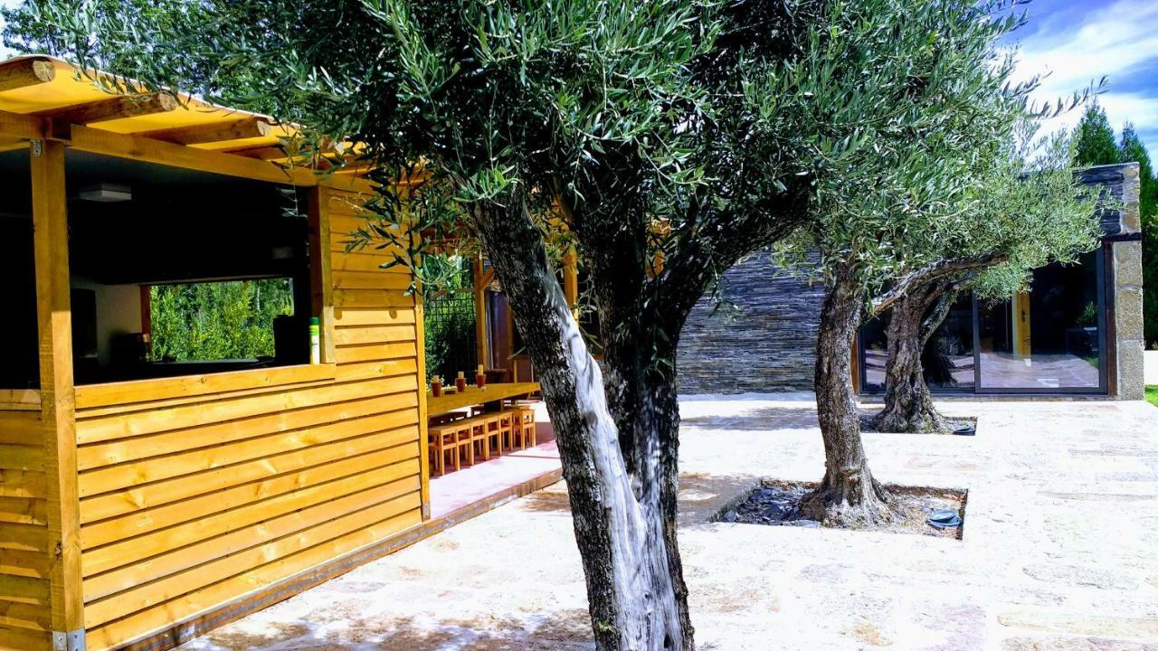 Casa Do Prado Guesthouse Vila Real Exterior photo